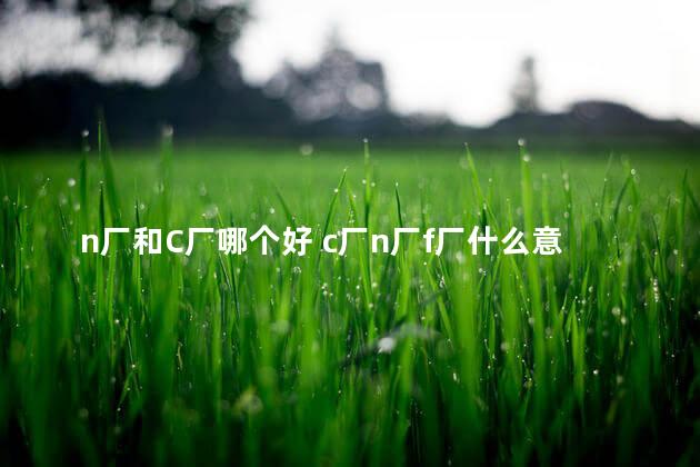 n厂和C厂哪个好 c厂n厂f厂什么意思